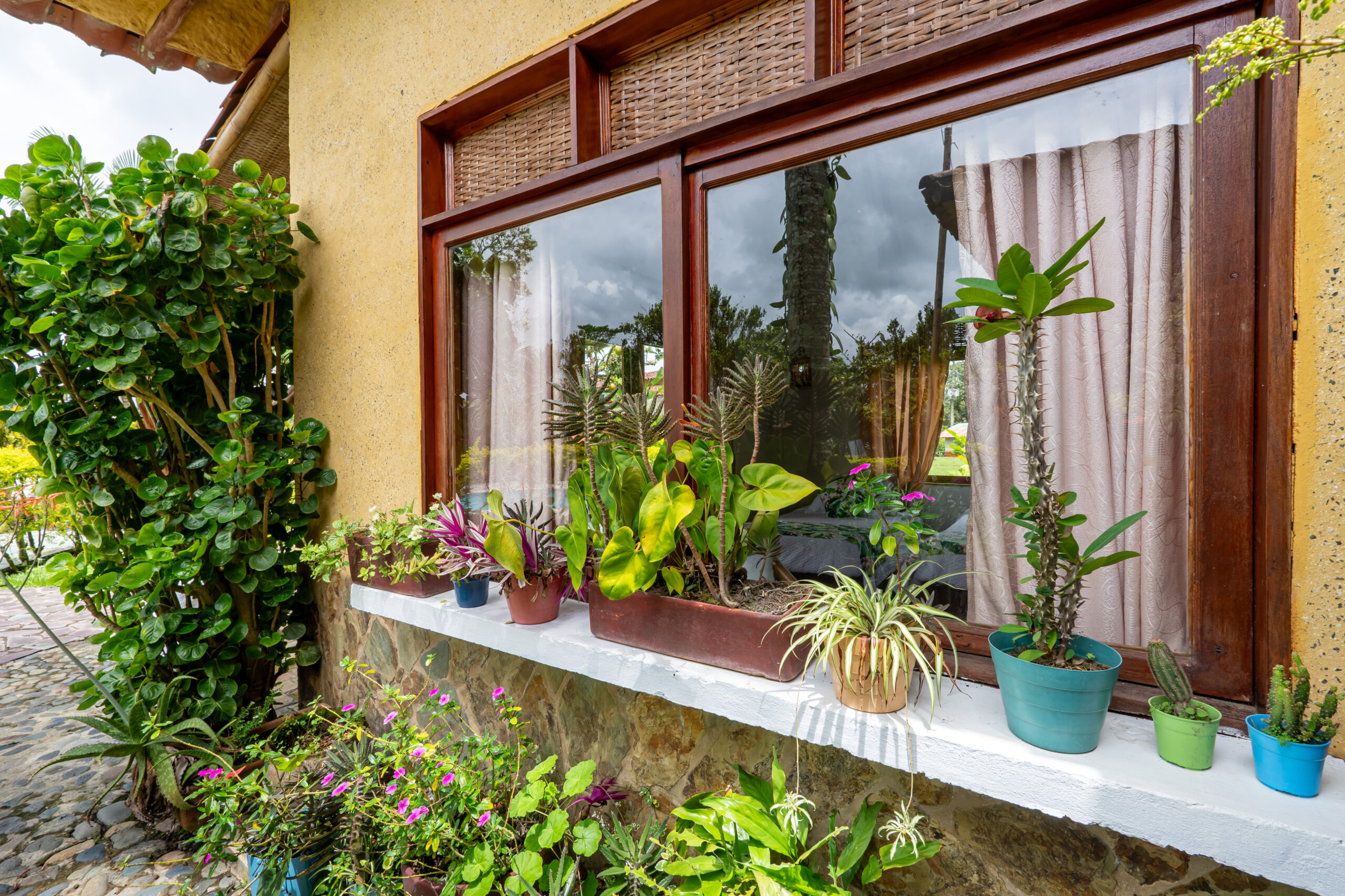 DSC03987-HDR