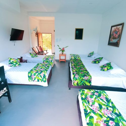 WhatsApp Image 2023-05-06 at 3.23.19 PM (1)